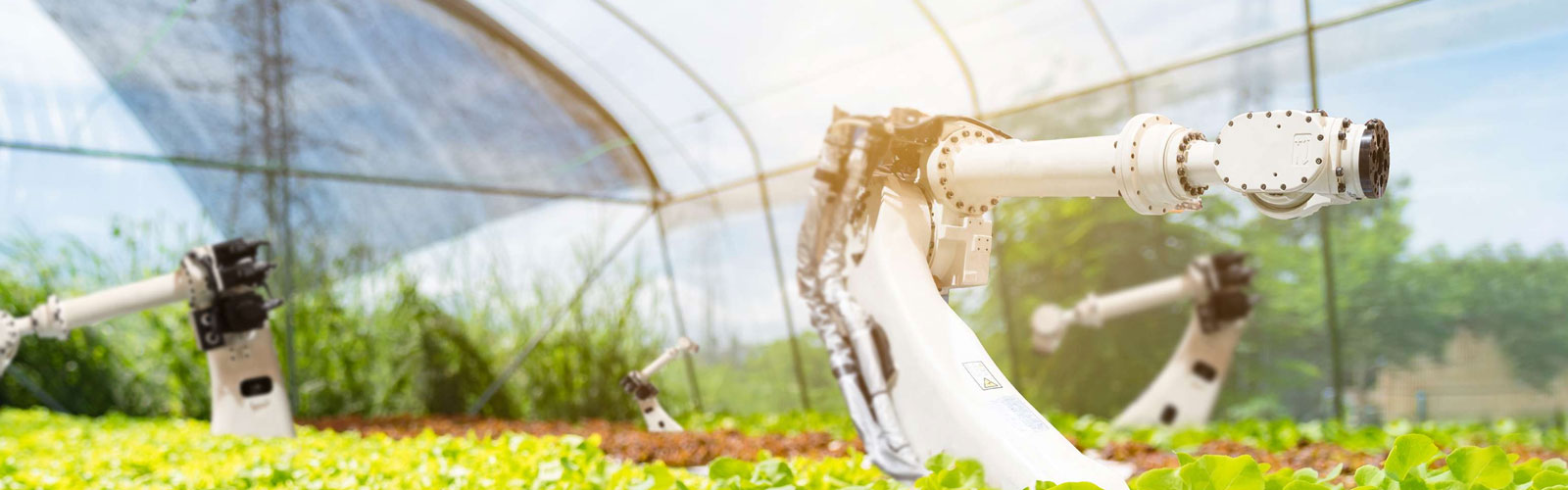 robot in greenhouse