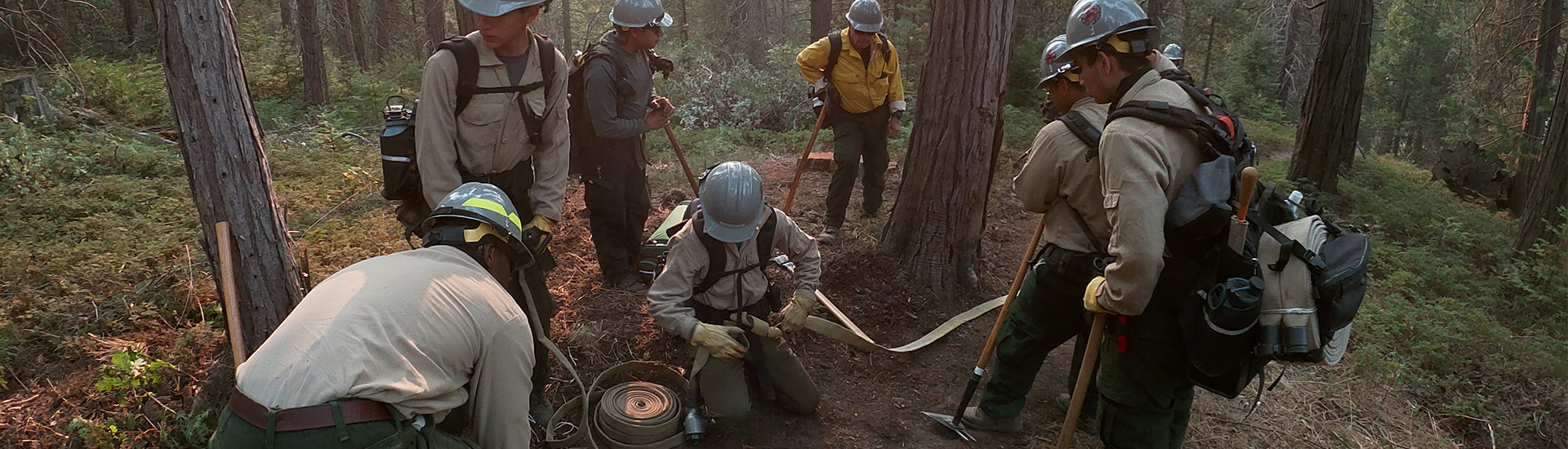 Wildland fire students in forest