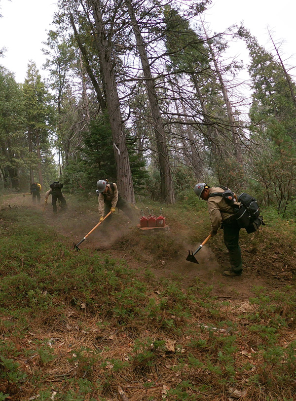 Wildland fire students clearing ground