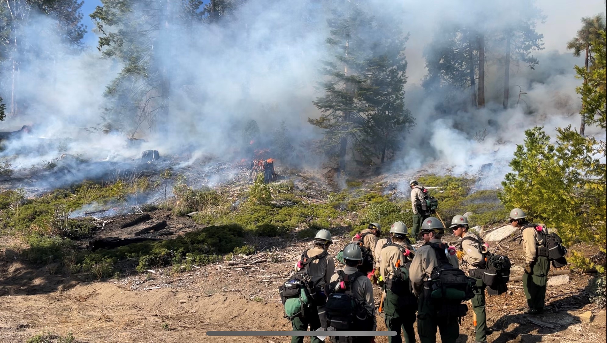 Wildland fire students controlling burn in forest
