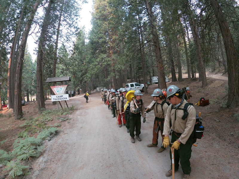 Wildland fire students preparing in forest