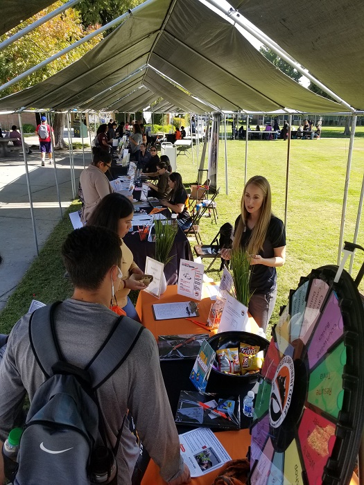 Students speaking with staff at the Majors Fair.