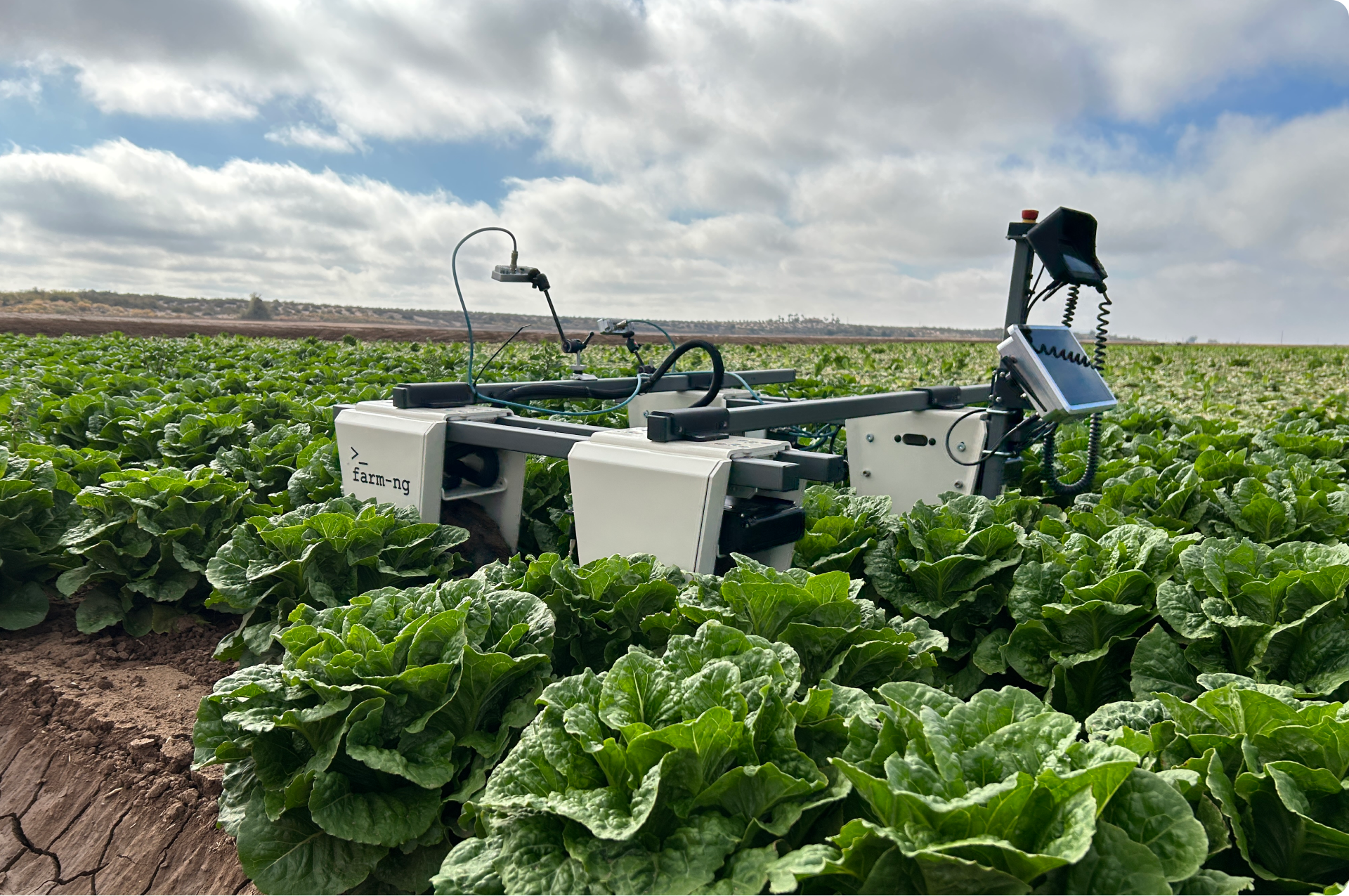 rc robot in farm field surrounded by vegetables