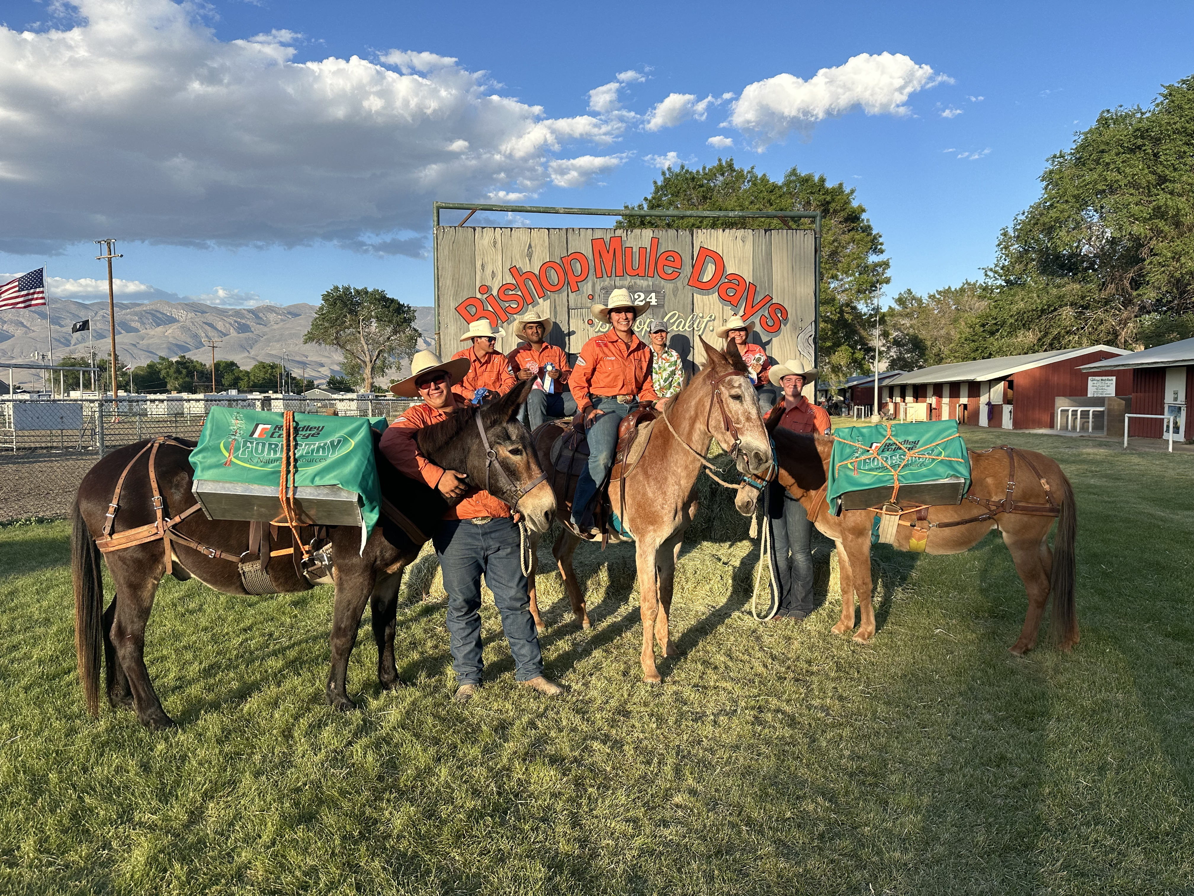 Mule packing team in bishop