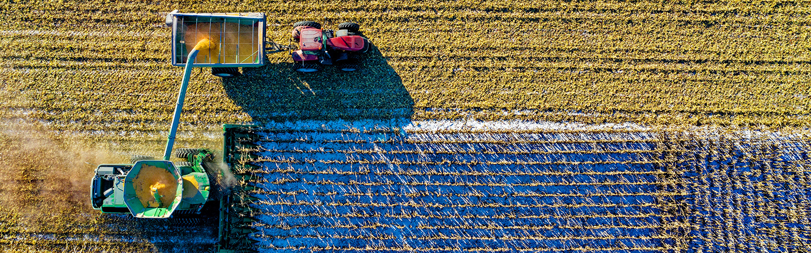 tractor in field