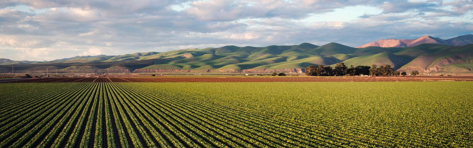 field and mountains