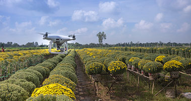 Drone flying over crops