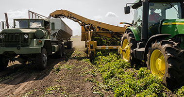 tractor working in field