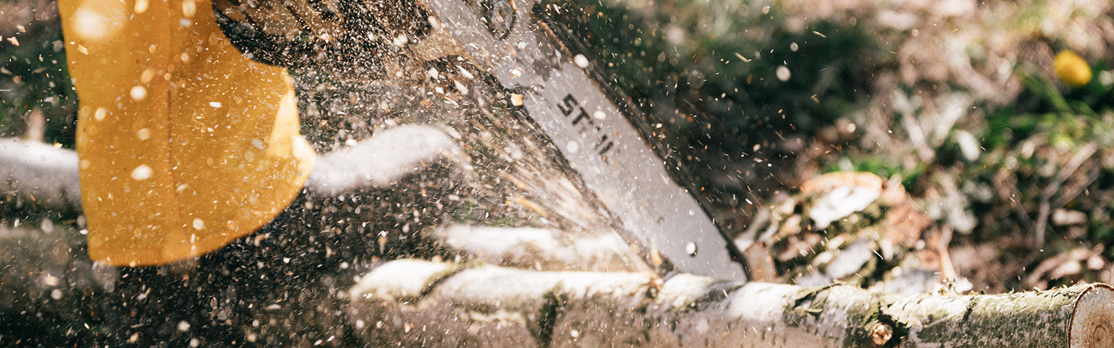 Chainsaw against log