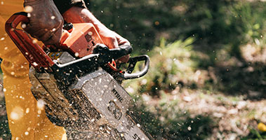 chainsaw cutting log