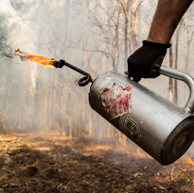 Prescribed Burn Torch