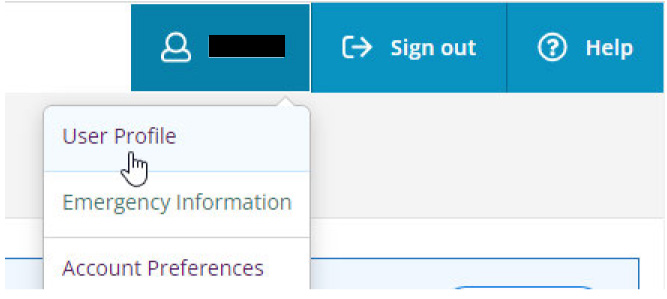 Self Service screenshot showing user profile selected