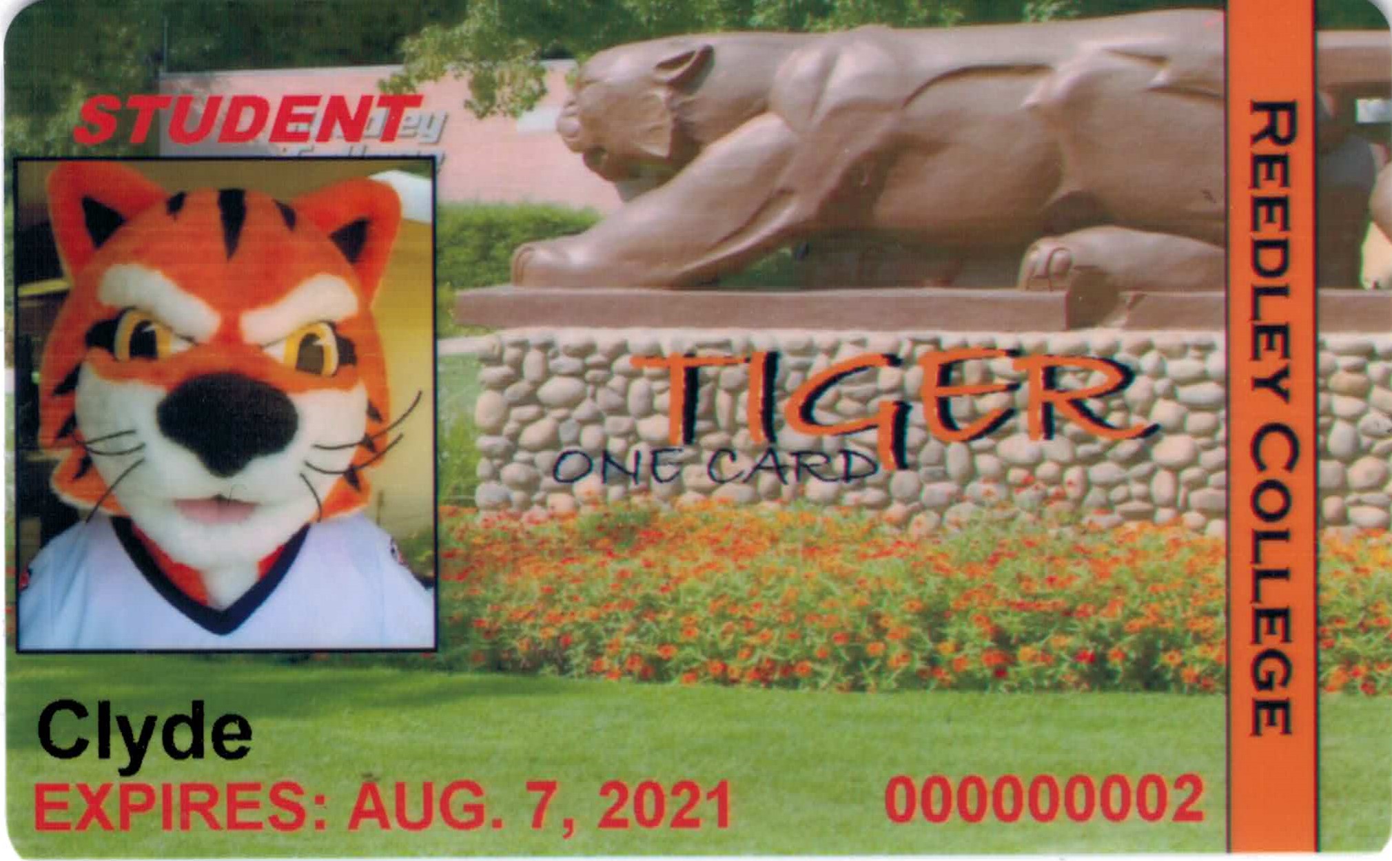 Clyde Tiger one Card