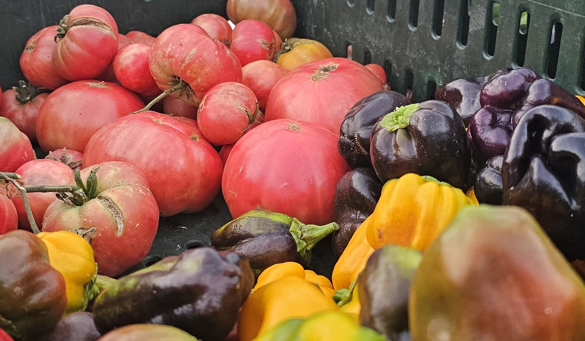 basket with vegetables and fruits